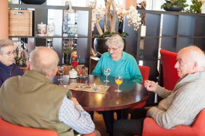 Silverein Welzijn Gezellig Spelletje